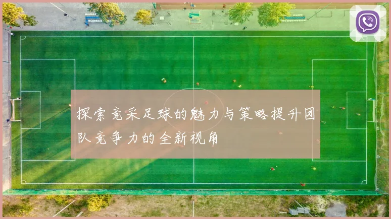 探索竞采足球的魅力与策略提升团队竞争力的全新视角