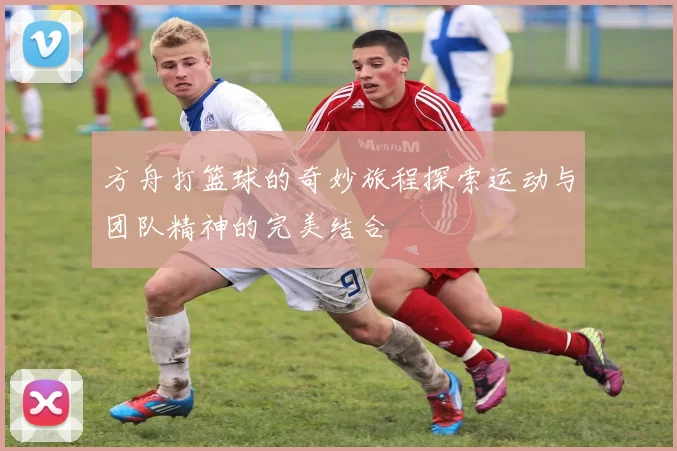 方舟打篮球的奇妙旅程探索运动与团队精神的完美结合