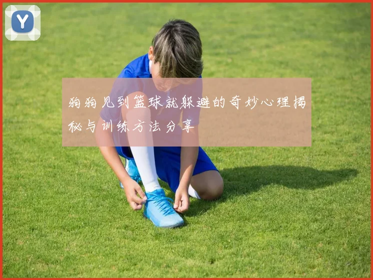 狗狗见到篮球就躲避的奇妙心理揭秘与训练方法分享