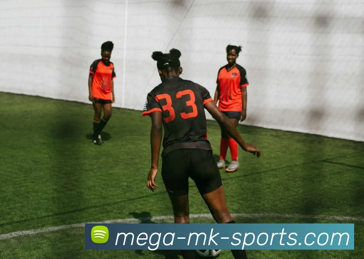 MK体育服务体系